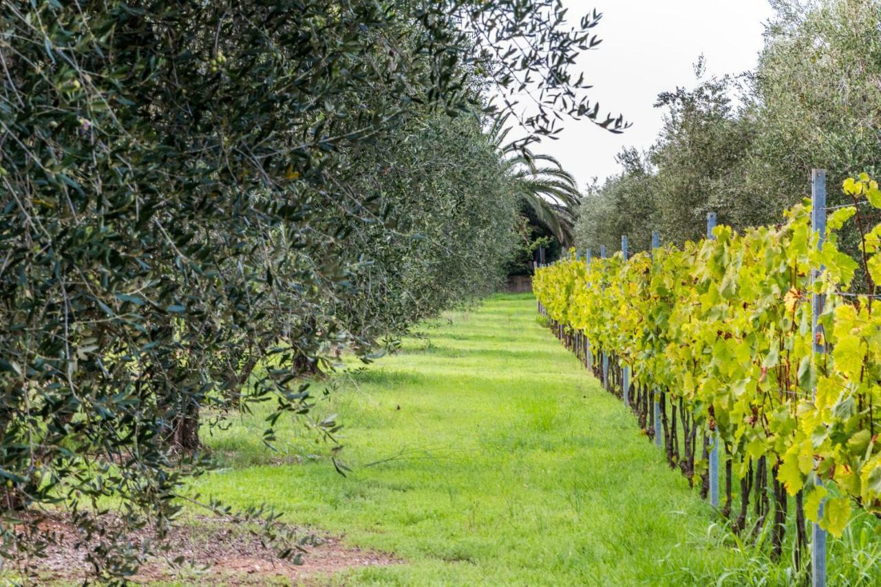 Agriturismo Villa Isa Follonica Dış mekan fotoğraf